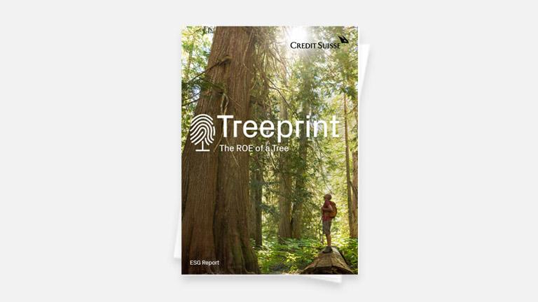 treeprint-the-roe-of-a-tree-2021-cover