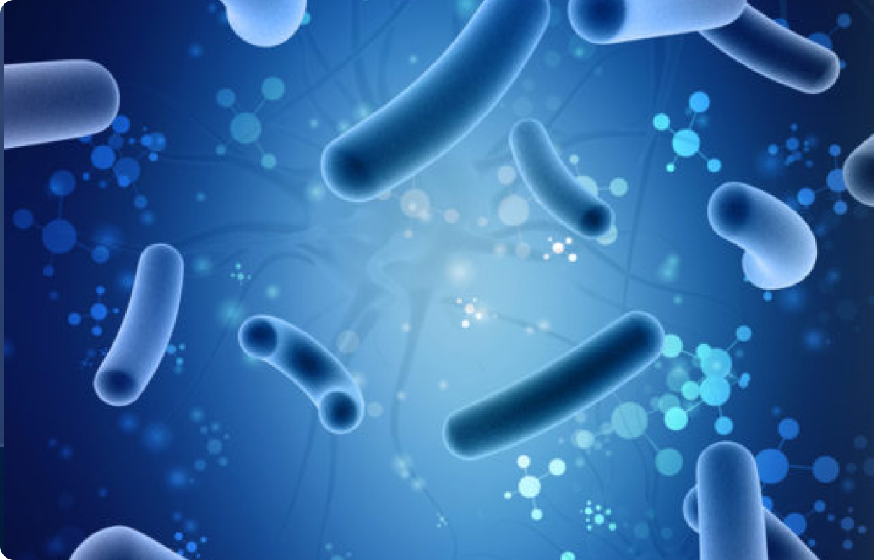Digital illustration of diverse rod-shaped gut microbes in blue hues, representing microbiome diversity and hormonal balance.