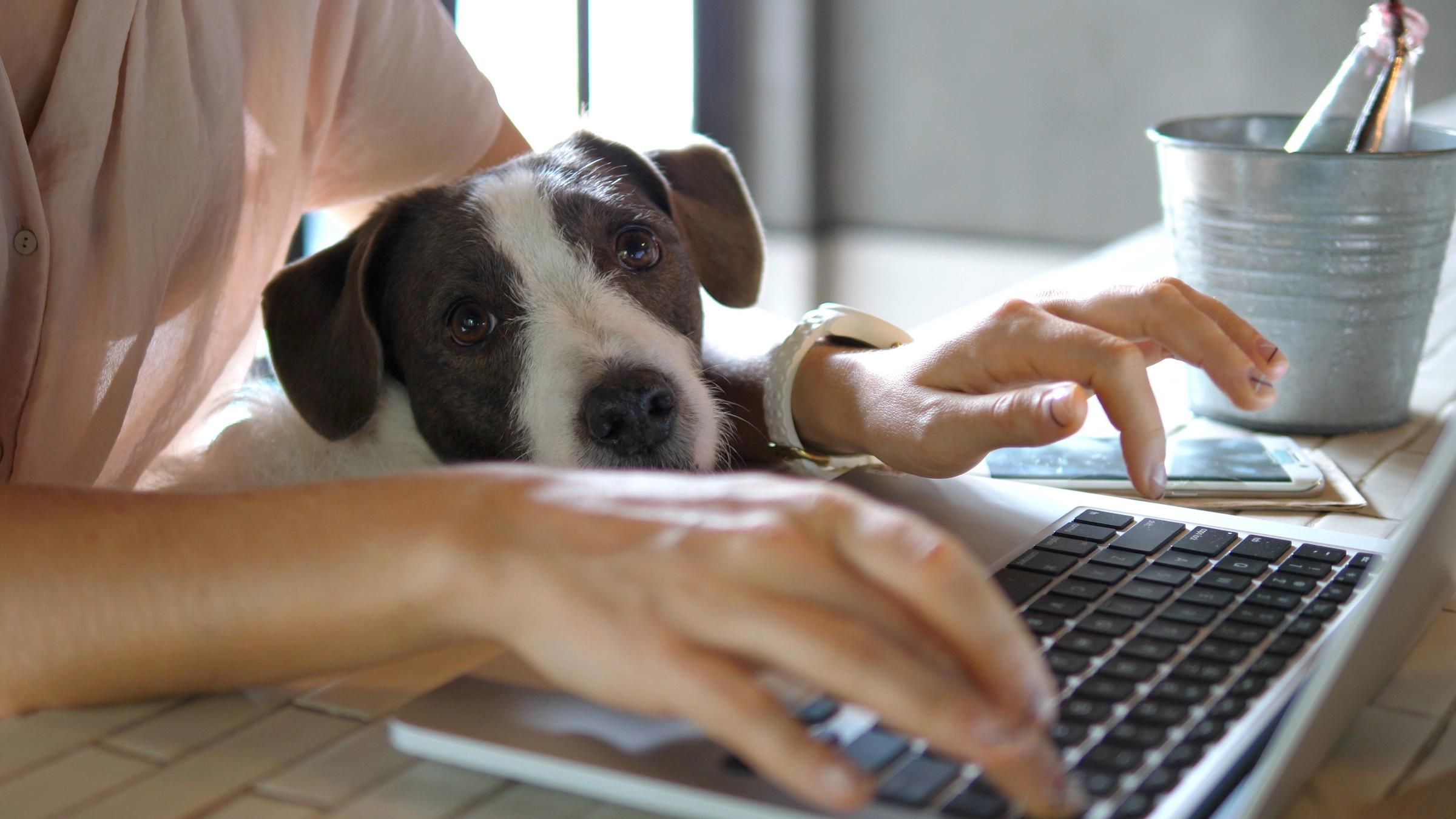 Being Productive While Working From Home