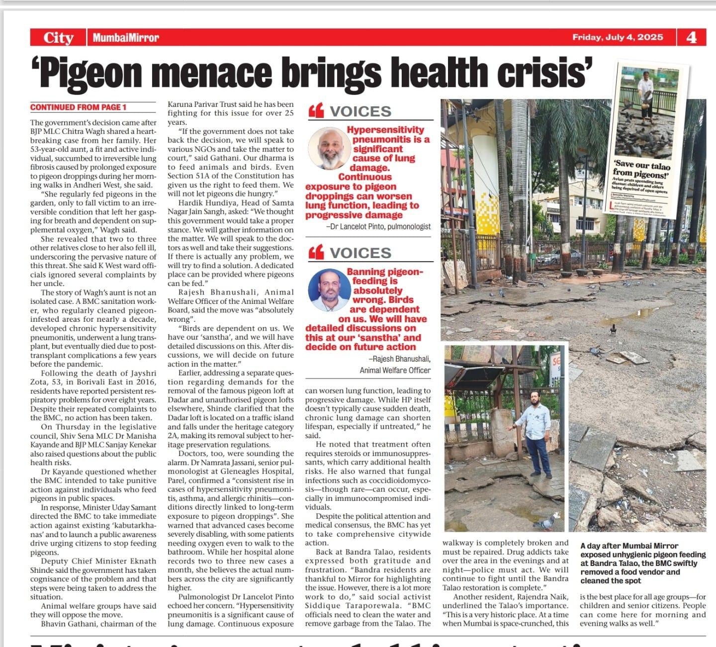 Pigeon Menace Brings Health Crisis