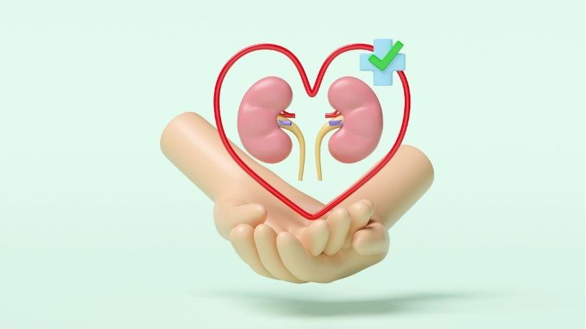 What Happens After an ABO-Incompatible or Swap Transplant- Recovery, Rejection Risks and Long-Term Outlook