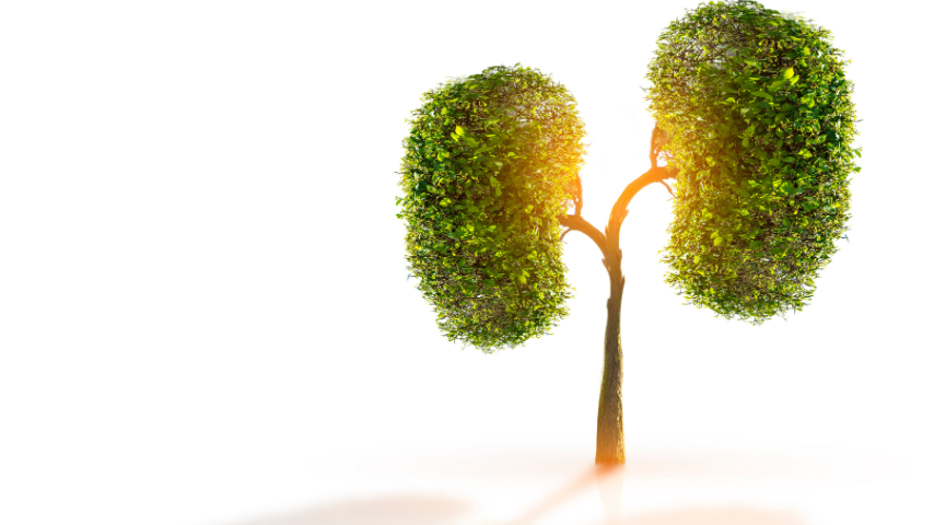 Surviving the First Year After Kidney Transplant- What You Wish You Knew