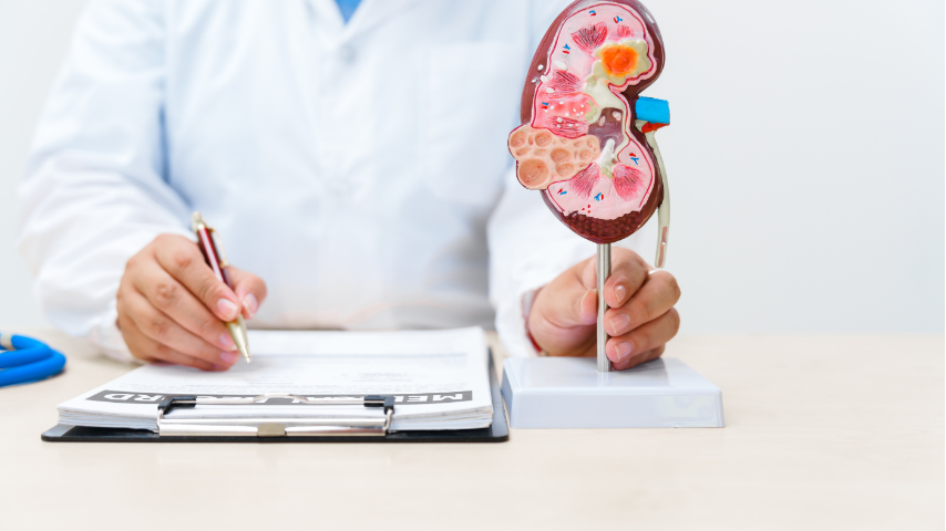 What to Ask Your Nephrologist Before Starting Dialysis