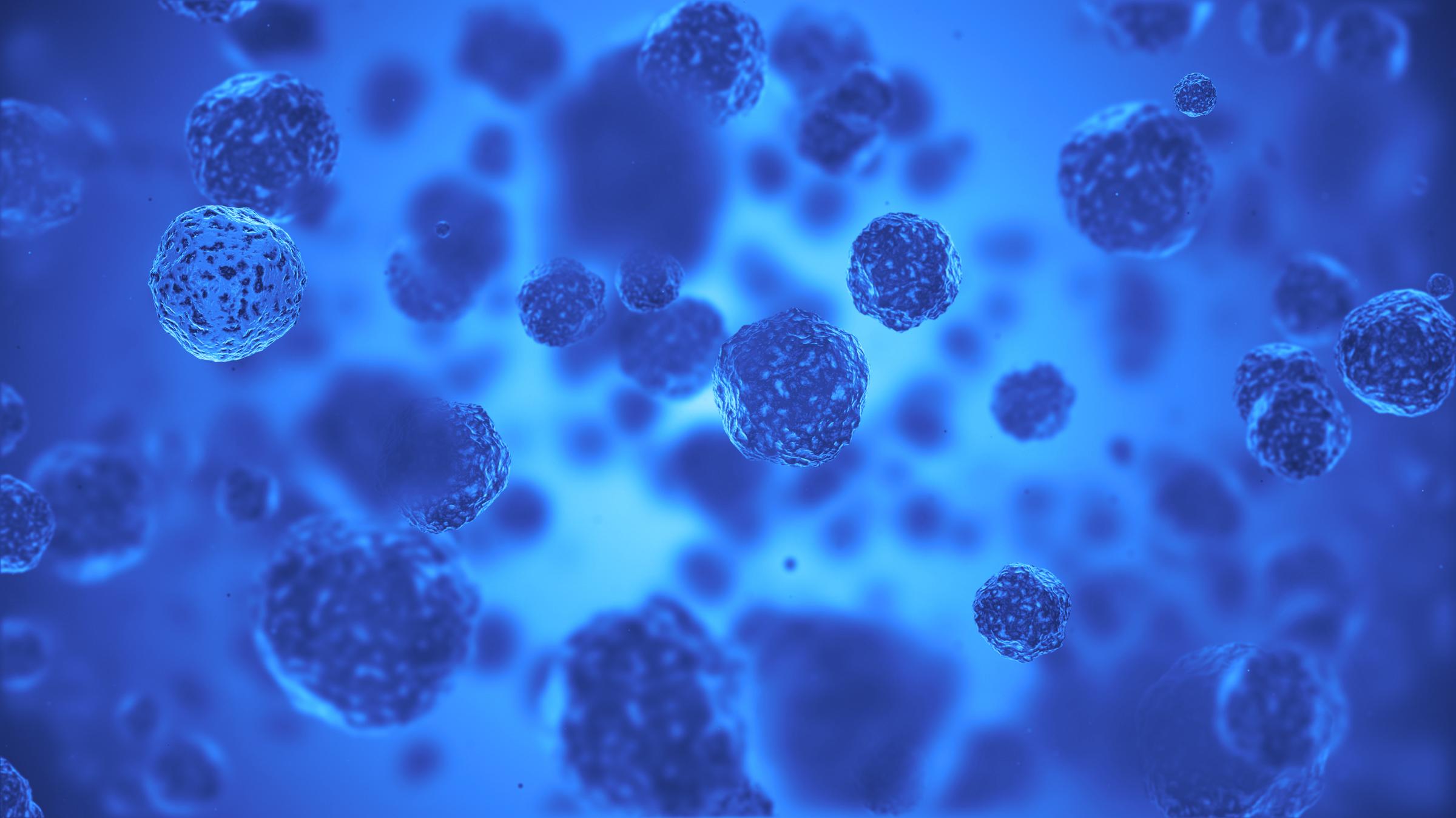 shutterstock_549684541