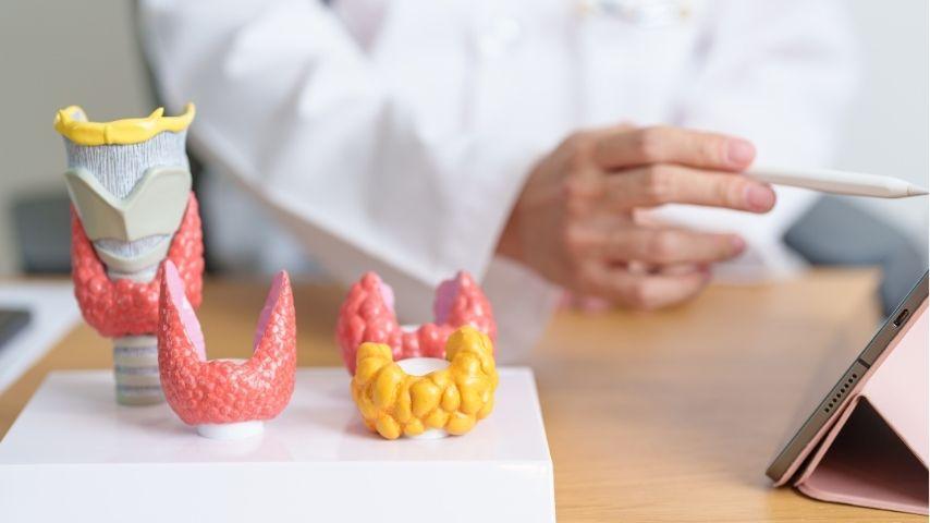 Ablation vs Surgery vs Watchful Waiting- What Are the Options for Thyroid Nodules