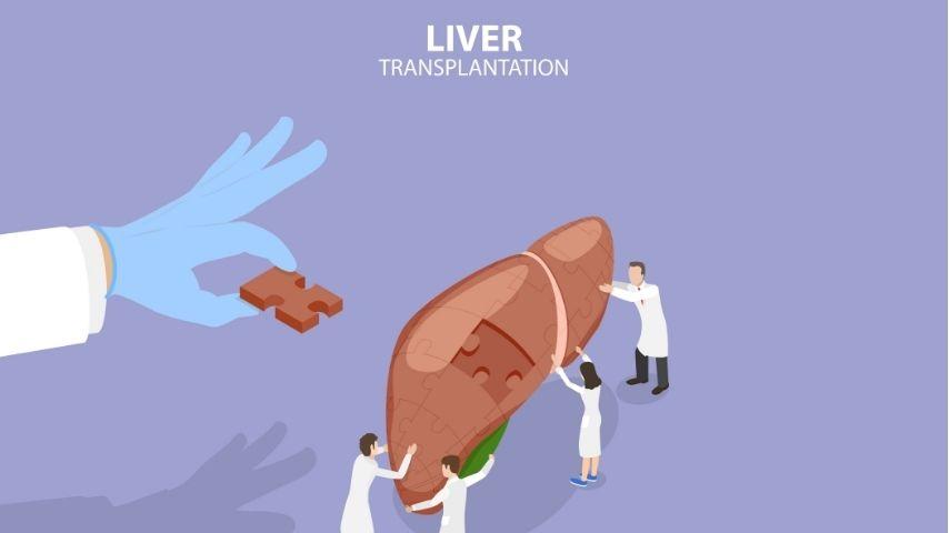 Living Donor vs Deceased Donor vs Split Liver Transplant &mdash; What Are Your Child&rsquo;s Options