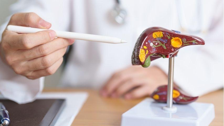 Risks, Complications and What to Watch Out For After a Child&rsquo;s Liver Transplant