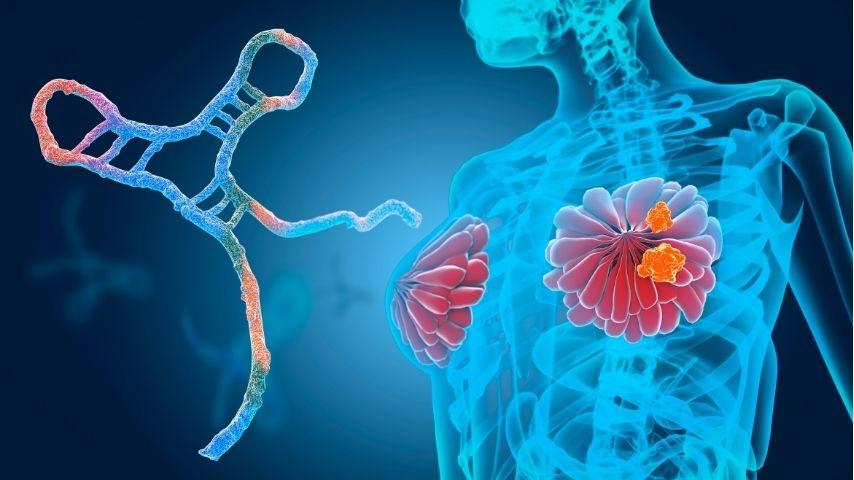 After Biopsy or Ablation-What Follow-Up Is Needed, and When You Should Return to Normal Life