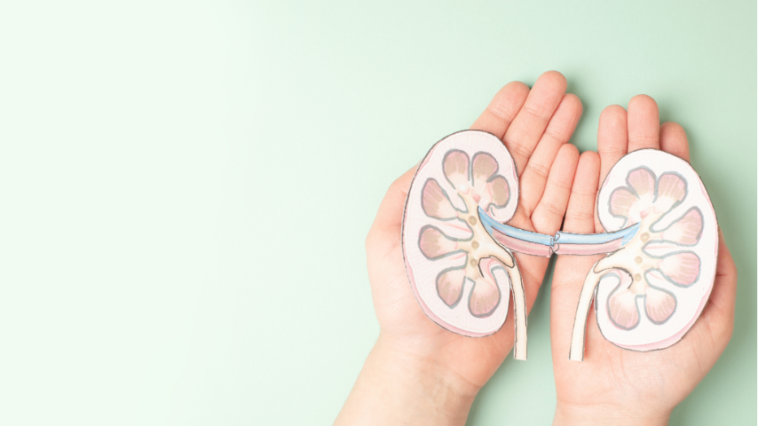 Top Myths & Misconceptions About Kidney Transplants — What You Should Know