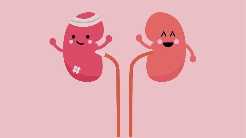 Why Donor Blood Group Matches Matter &ndash; and How New Transplant Options Are Changing the Rules