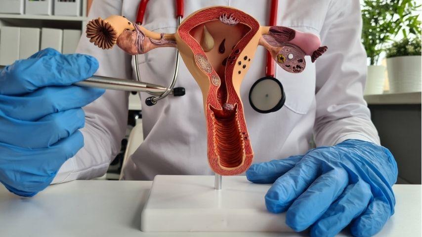 Hysterectomy Basics- Types (Full, Partial, Oophorectomy) — What They Mean for Your Body