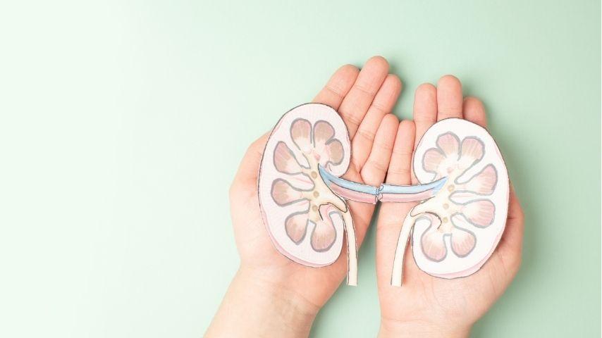 ABO-Incompatible Transplant vs Swap Transplant- Which Option Is Right for Me