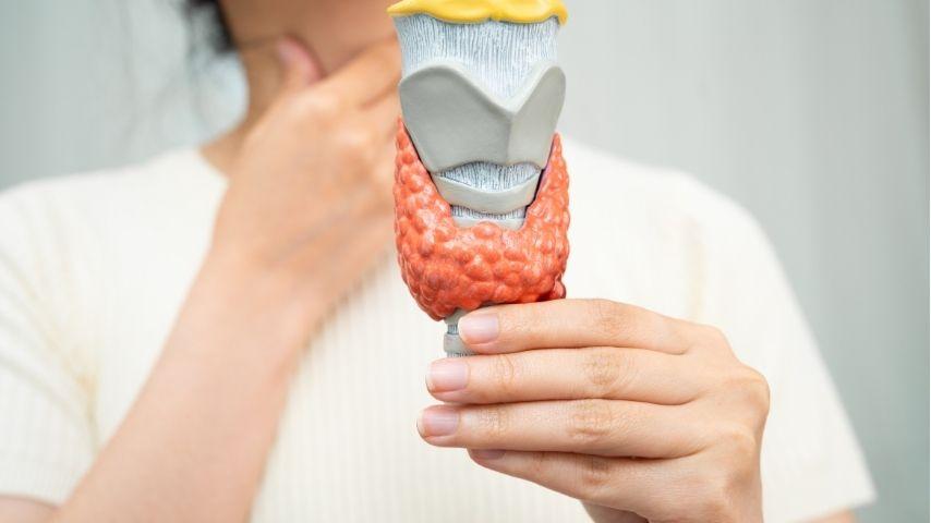 What Is Thyroid Nodule Ablation (RFA, Laser, Cryo)- A Beginner&rsquo;s Guide