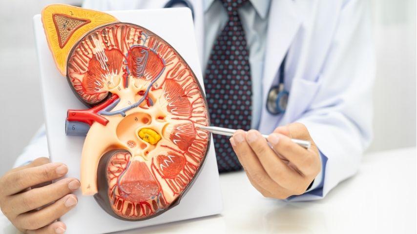 Preparing for an ABO-Incompatible or Swap Transplant- What Tests, Medications and Hospital Stay Look Like