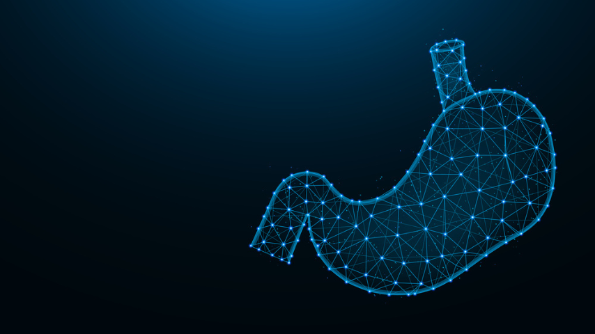 Polycystic Kidney Diseases