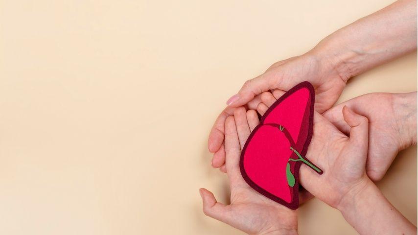 How to Choose the Right Pediatric Liver Transplant Center &mdash; What Experts, Experience and Support Services to Look For