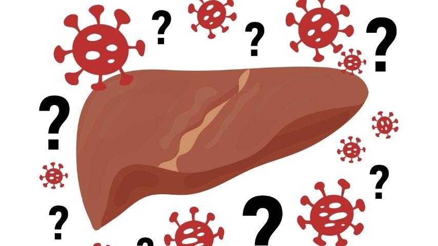 Life After Paediatric Liver Transplant &mdash; How Often Are Follow-Ups, What Meds Are Needed, and When Can My Child Return to Normal Activities