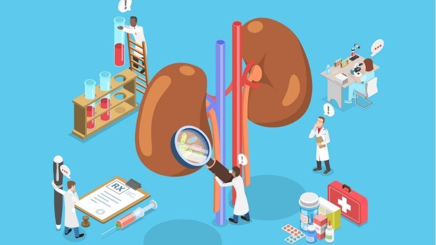 What Is an ABO-Incompatible Kidney Transplant-A Simple Guide for Patients