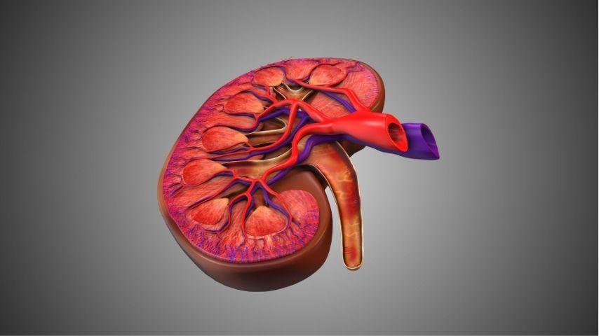 Understanding the Peritoneal Cancer Index (PCI) and How It Affects HIPEC Outcomes