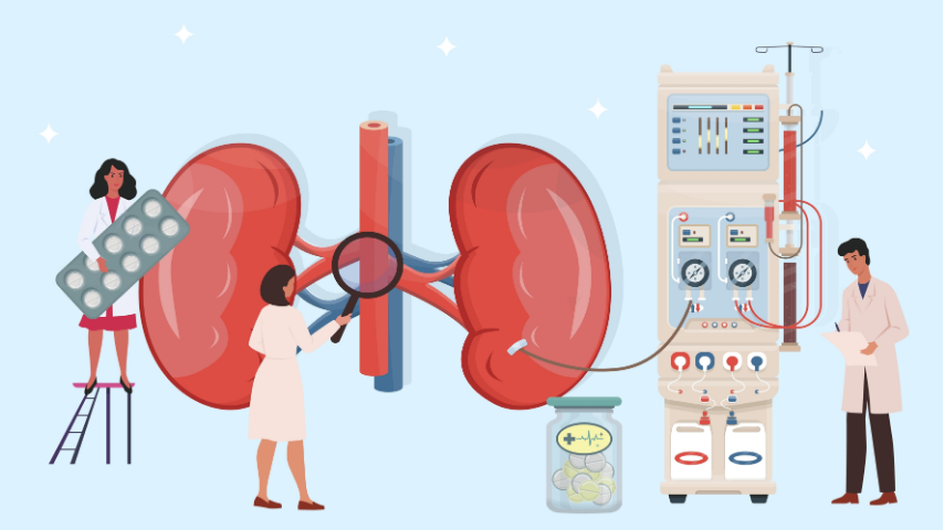 Kidney Transplant vs Dialysis- What’s the Real Difference for Your Life