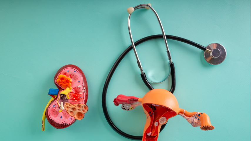 RIRS vs Other Kidney Stone Treatments-When Does It Make Sense