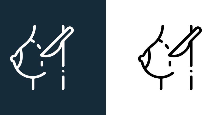 Minimally Invasive Treatments for Benign Breast Lumps-RFA, Microwave or Cryo &mdash; Pros, Cons and What to Expect