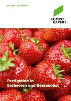 Fertigation in Erdbeeren und Beerenobst