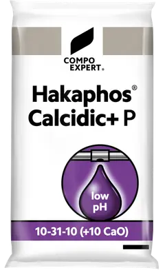 Hakaphos Calcidic Plus P 10-31-10