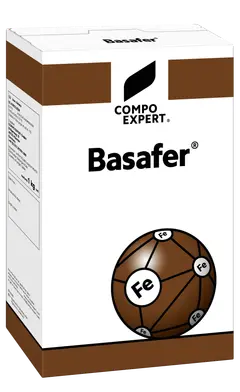 Basafer