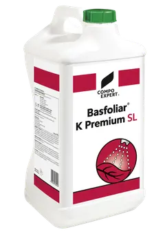 164348-bfl-k-premium-sl-etk-10l-3D