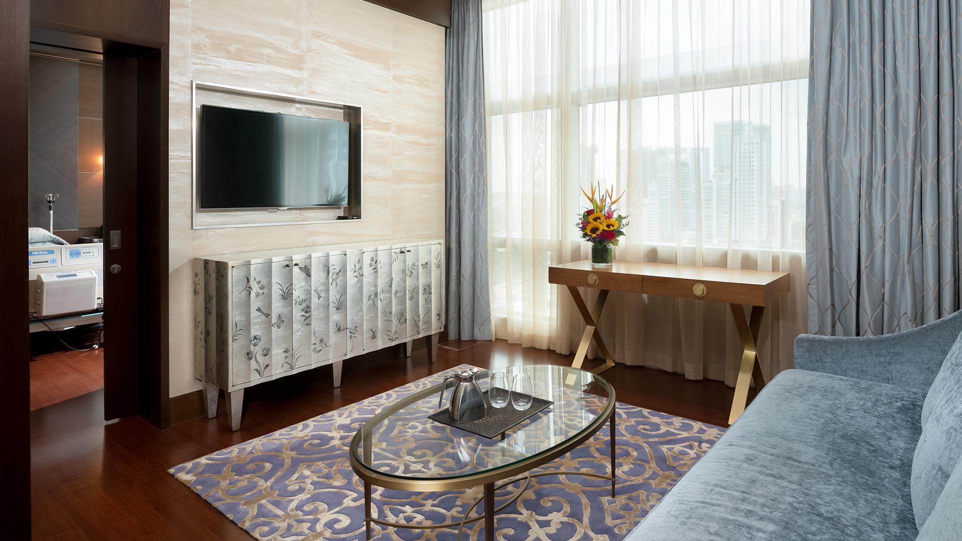 伊丽莎白诺维娜医院尊荣套房的起居室