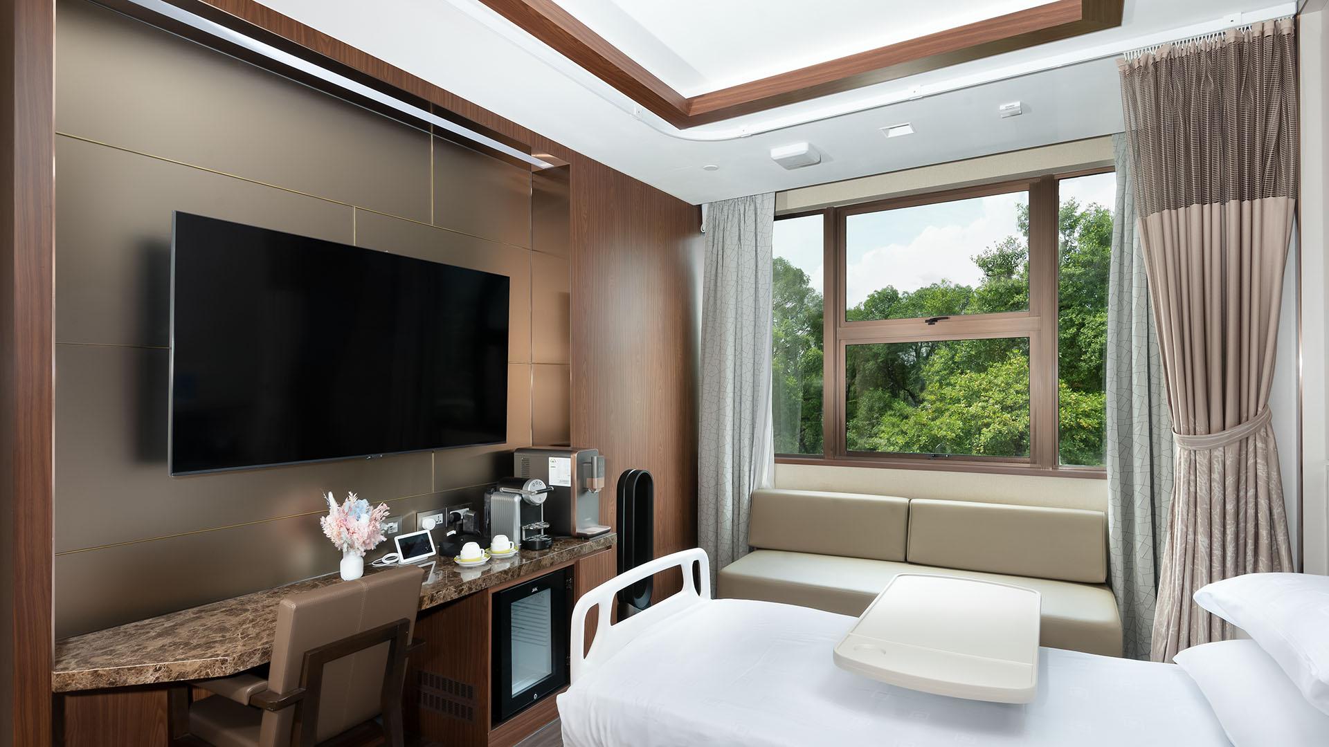 鹰阁医院 Ardmore / Botanic / Cluny 套房