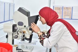 HS employees Sousse Tunisia