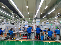 6 employees working in a factory in China