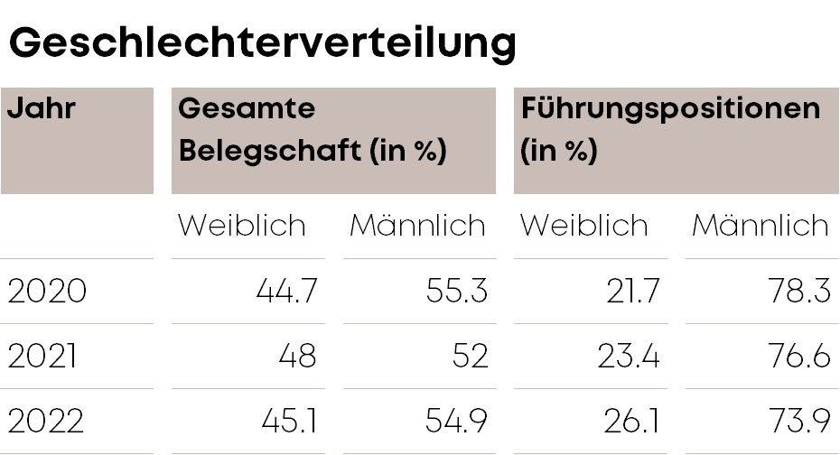 Diversity Blog table gender distribution DE
