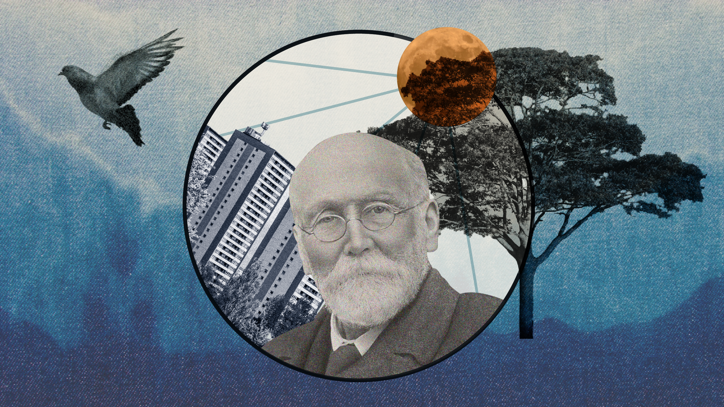 Abstract collage of Joseph Rowntree, a bird in flight, a tree, high rise flats and the sun.