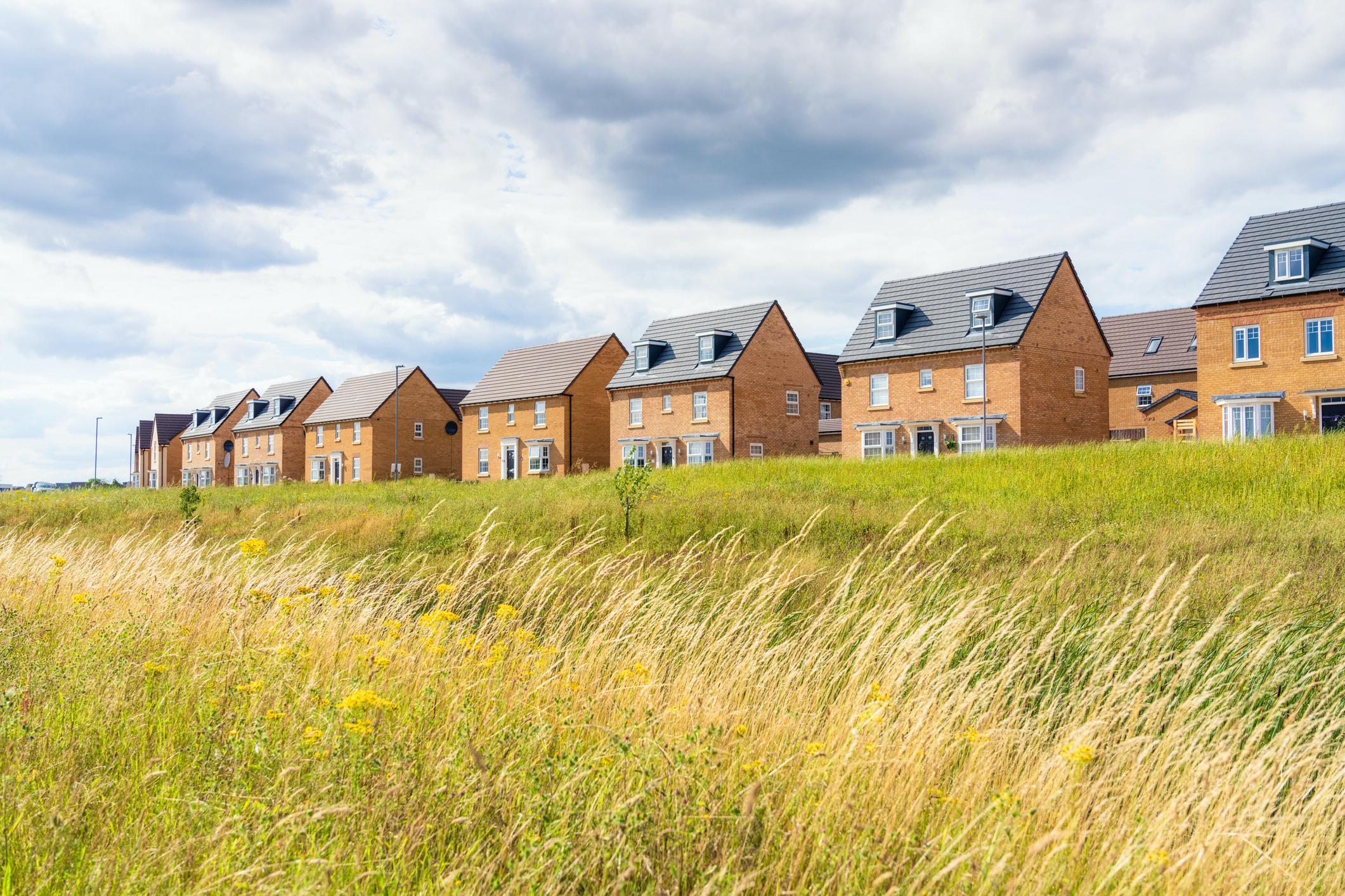 A view across meadow grass to a new build housing development.