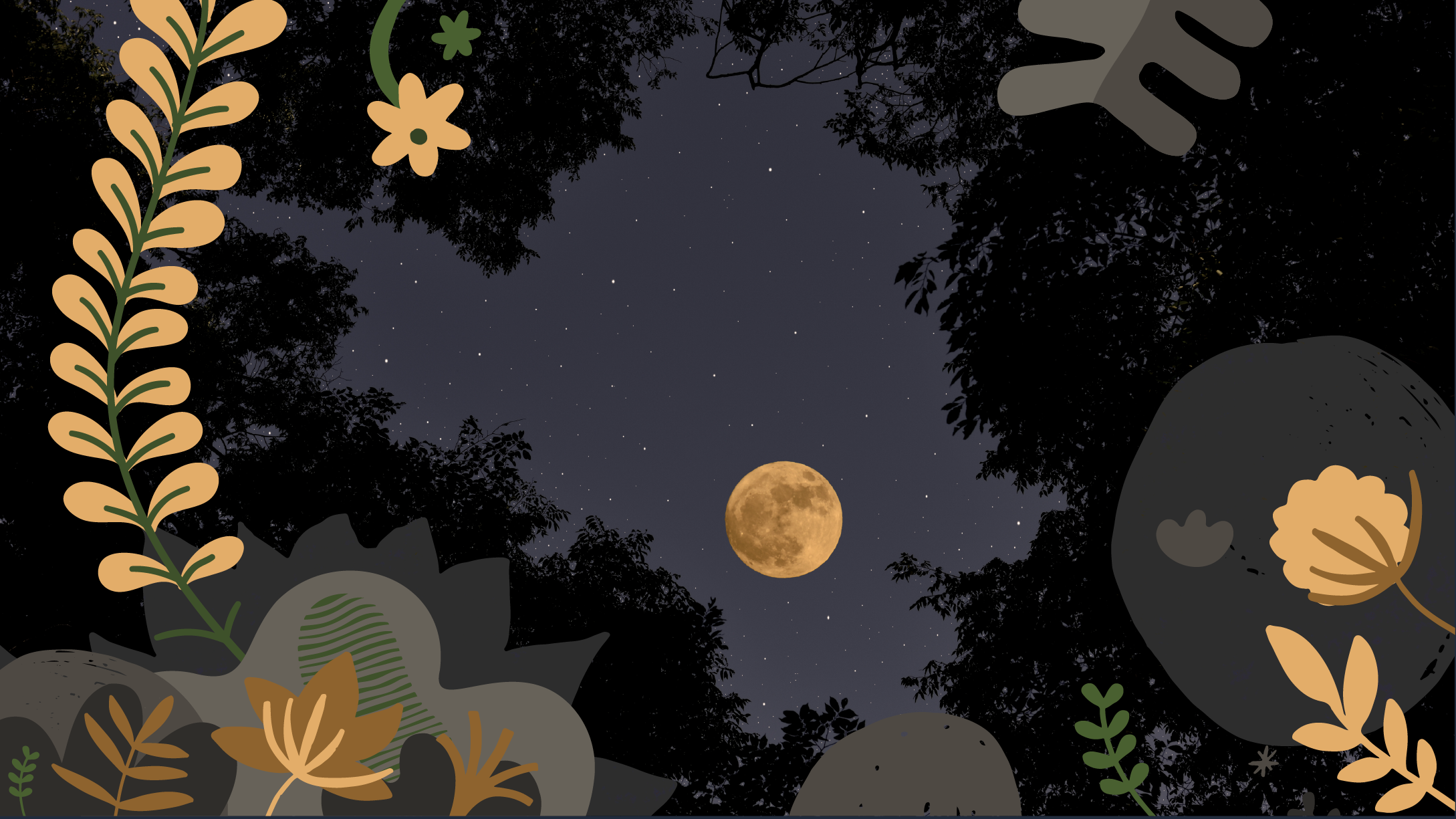 Illustrated nightscape of plants, moon and stars.