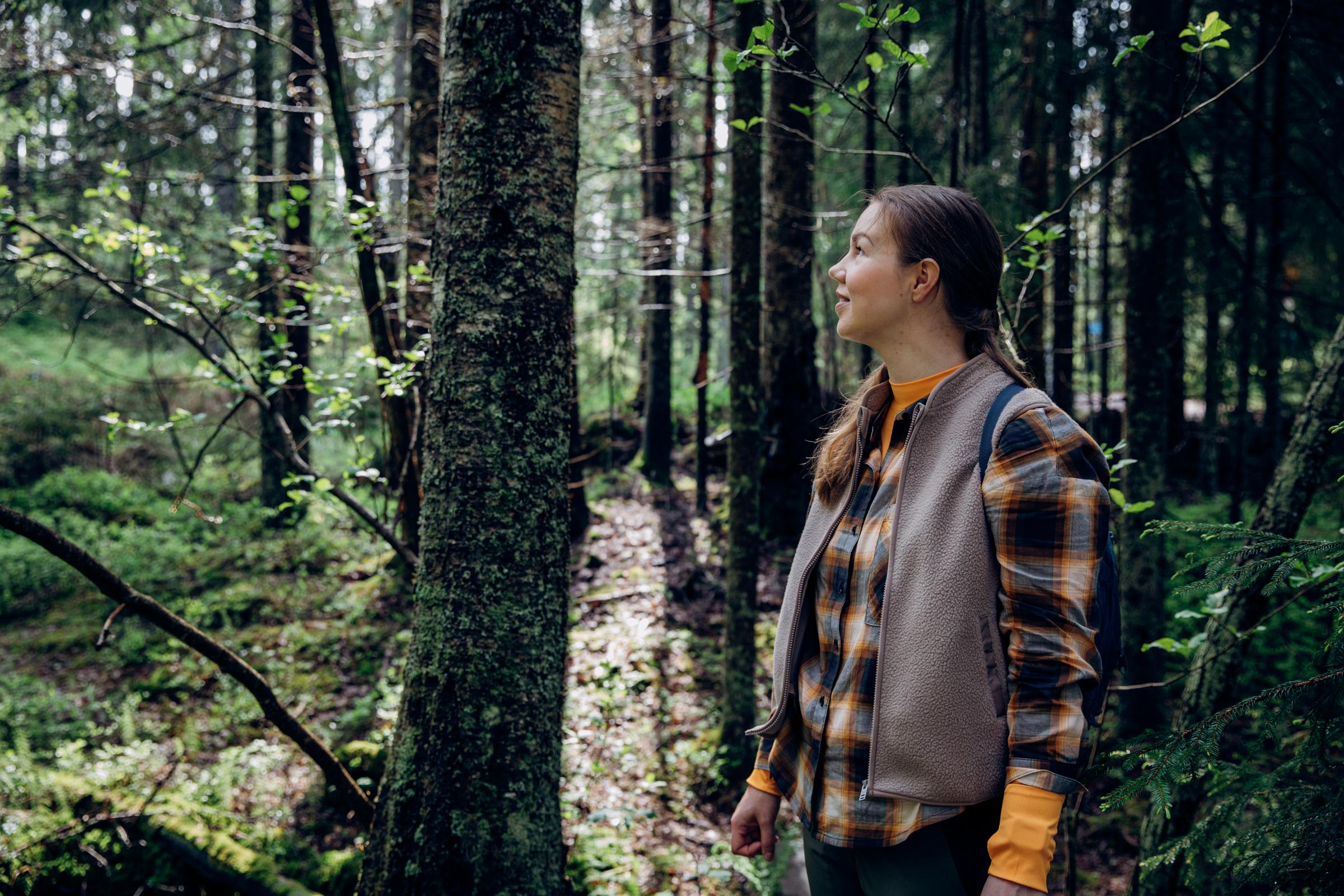 Metsien suojelua tehostetaan: EU:n asetus metsäkadon vähentämiseen