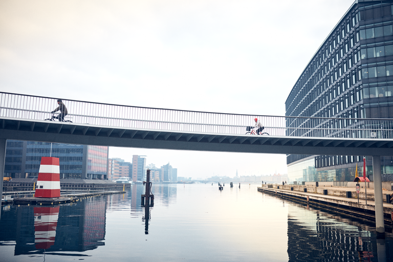 Broer og tunneler - Ramboll group