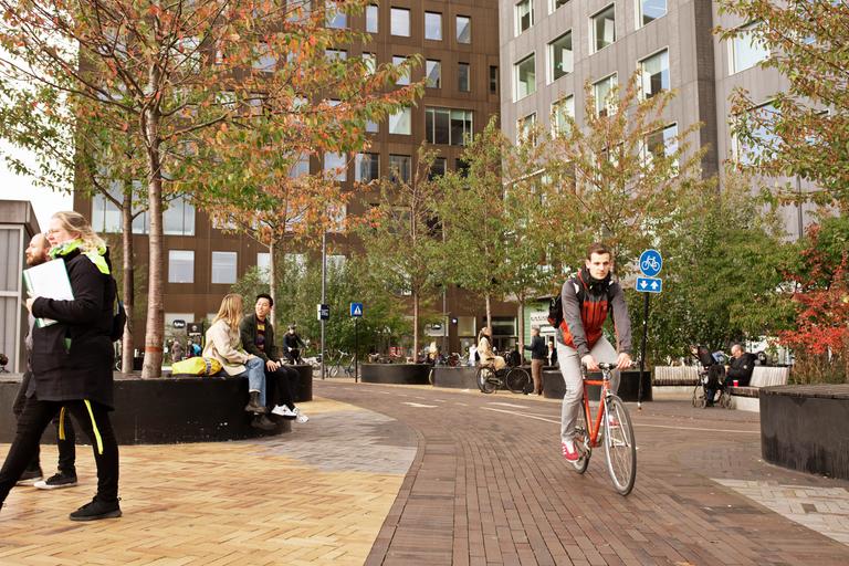 ESG services - Ramboll