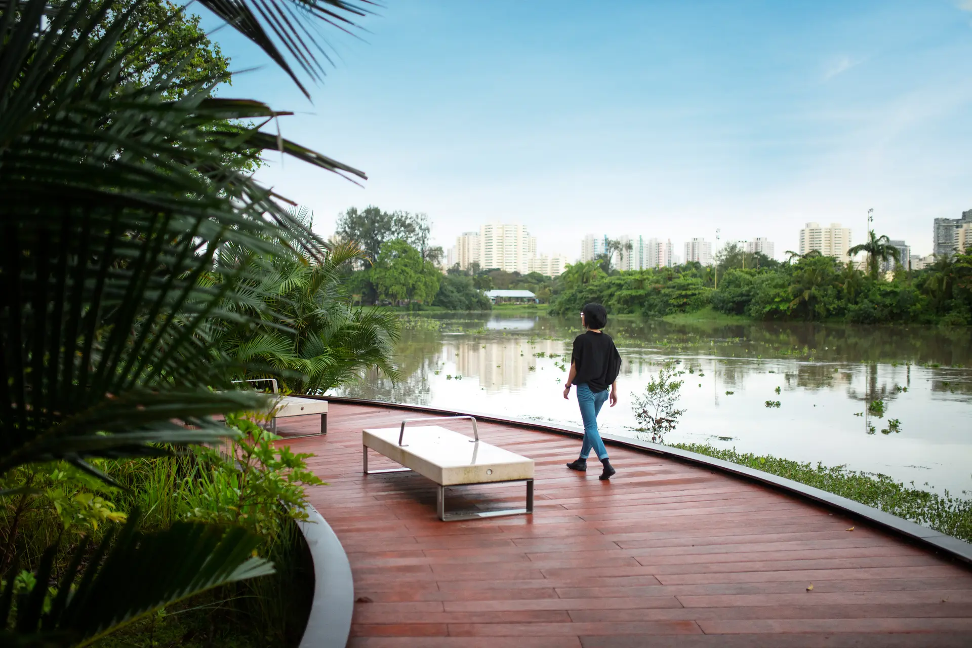 person walking through Jurong Lake Gardens next to greenery and water and the city skyline in the background