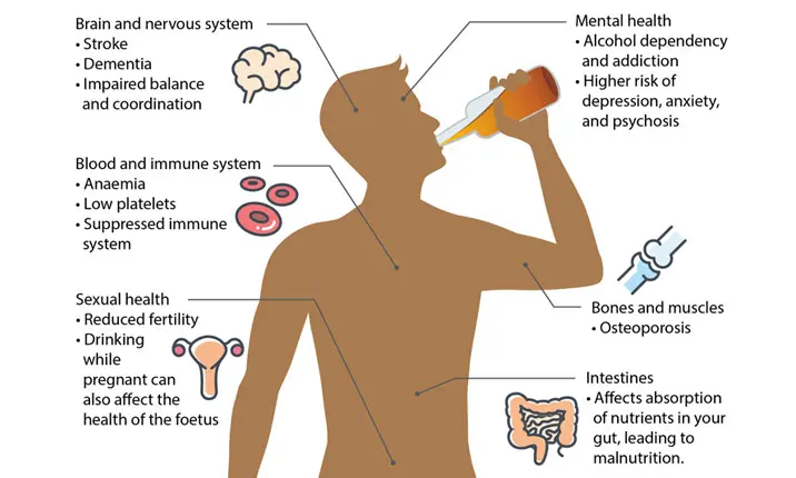 Alcohol long term effects