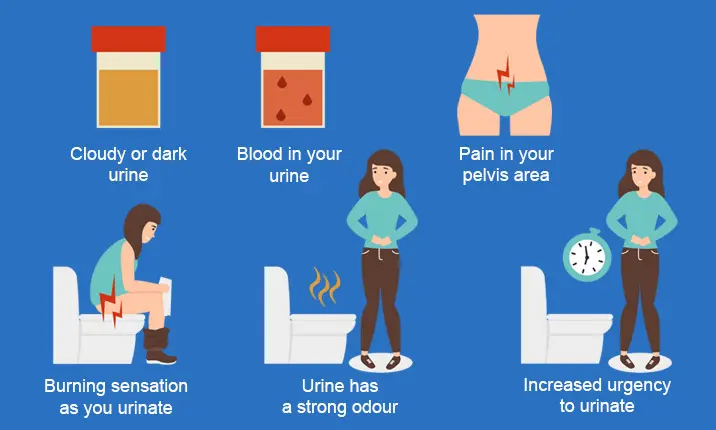 Urinary Tract Infection (UTI): Symptoms, Causes, Treatments