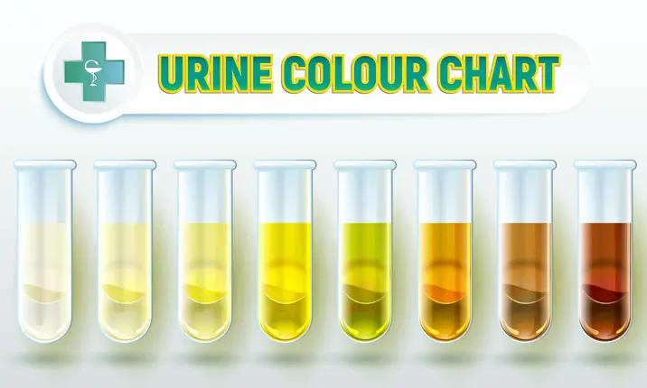 Urine colour chart