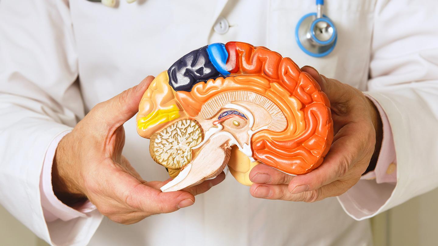 Neurosurgery (Brain & Nerves) Gleneagles Hospital