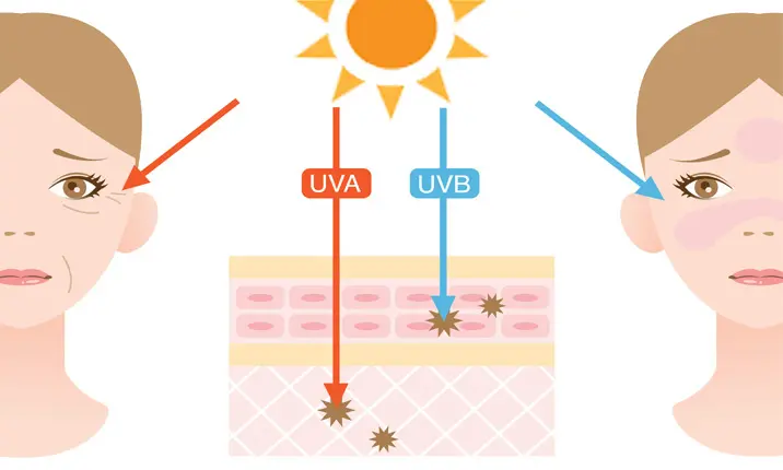 7 Effects of Not Wearing Sunscreen & What to Do