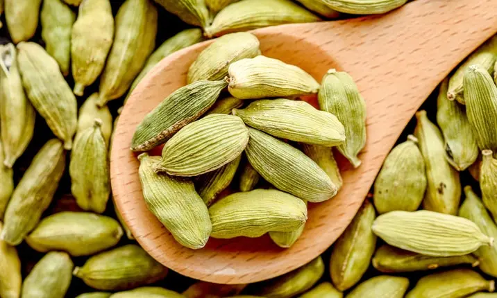 Healthy Indian spices - Cardamom