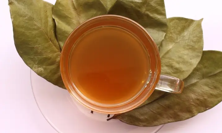 Soursop leaf drinks and cancer myth