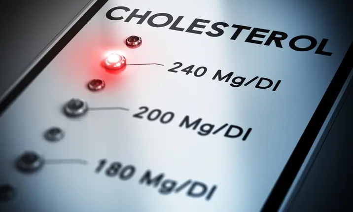 Hyperlipidaemia – high cholesterol